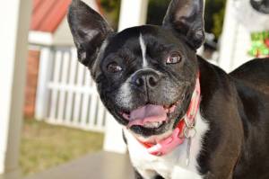 10519494_1043460752347129_2863691253848422222_o