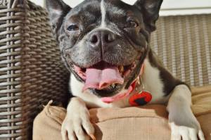 10900016_1043460762347128_8204752411353117097_o