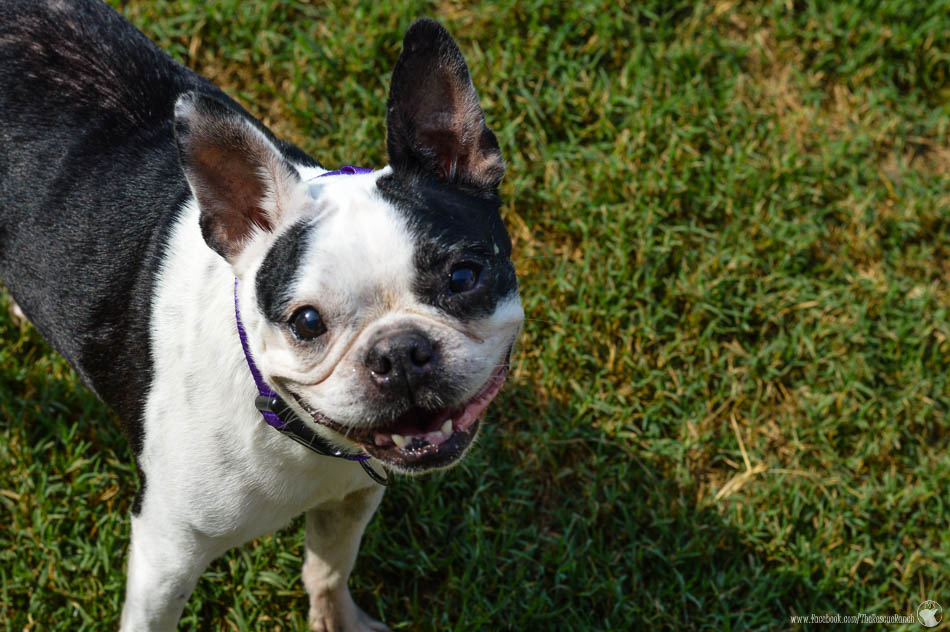 Meet Bonnie – Passed Away