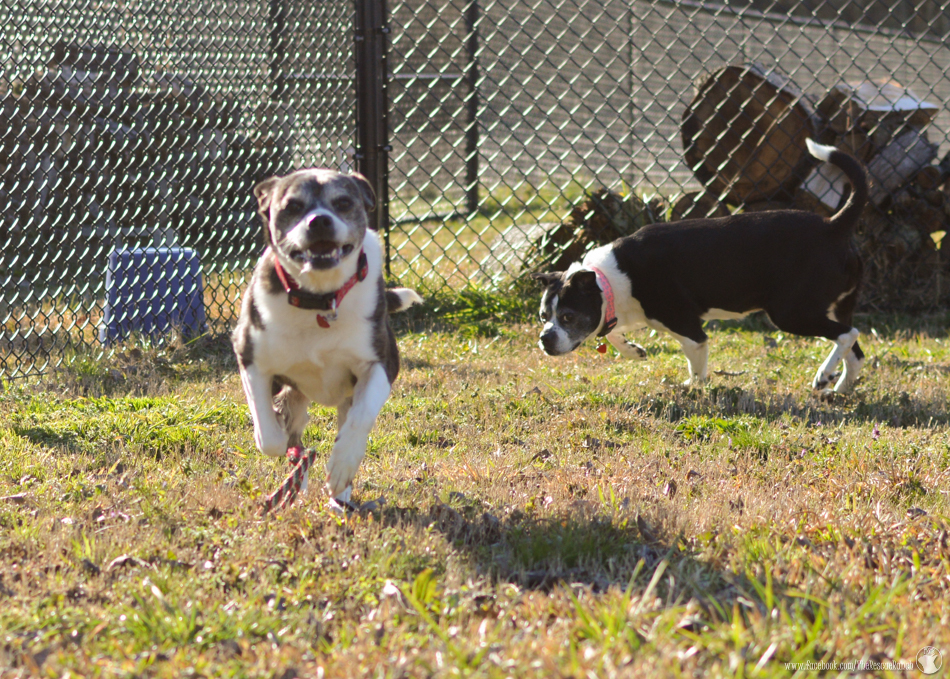 Tippy_Tubby_2.27.16-5