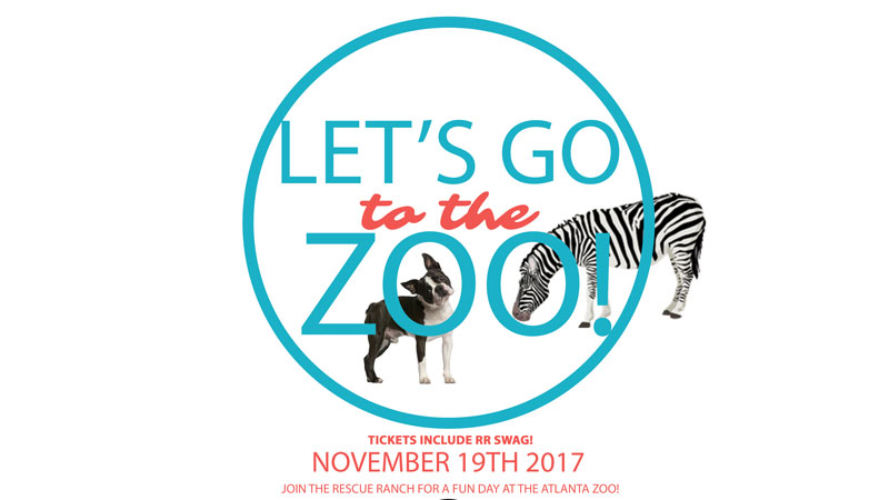 Let’s Go to the Zoo!